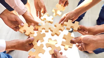 Top 10 Factors To Choose A Team Building Company For Your Team Needs