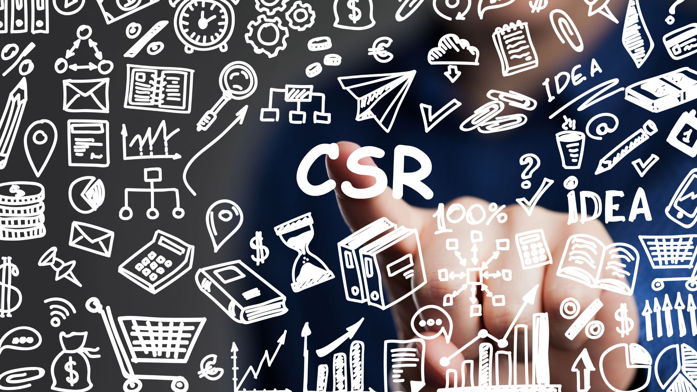 CSR Benefits